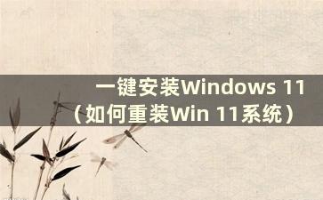 一键安装Windows 11（如何重装Win 11系统）